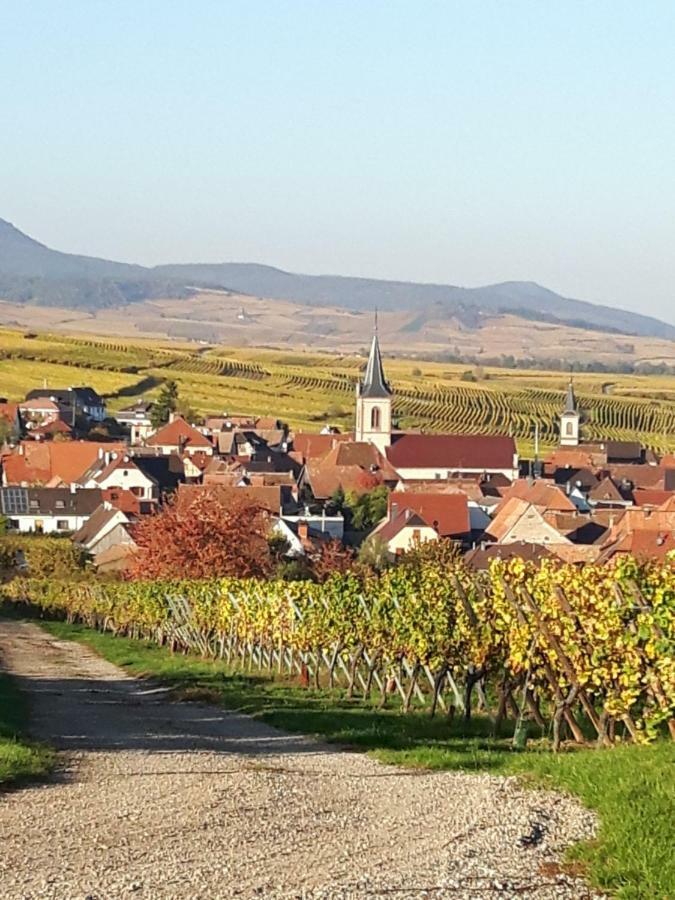 L'Ourson Leilighet Colmar Eksteriør bilde